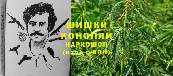твердый Верхний Тагил